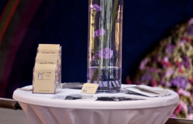 Opernball 2012